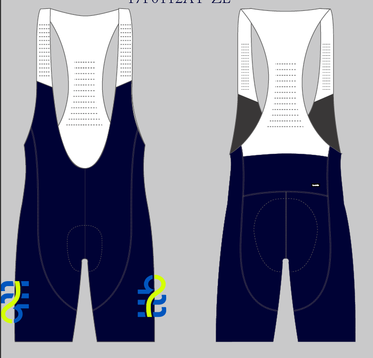 Cuissard Pro Anatomique team homme